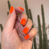 Short Square Quick Gel Tips (xxs shape) - 720pc